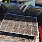 Gardening Through the Seasons – New Beginnings